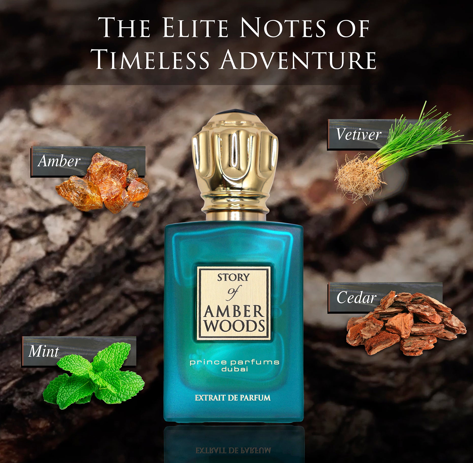 Amber Woods 100ml/3.4oz Mens Extrait de Parfum - Prince Parfums Dubai